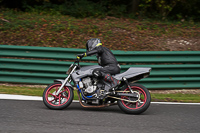 Lower Group Silver_Grey Bikes